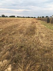 14244 County Road 452, Lindale, TX 75771
