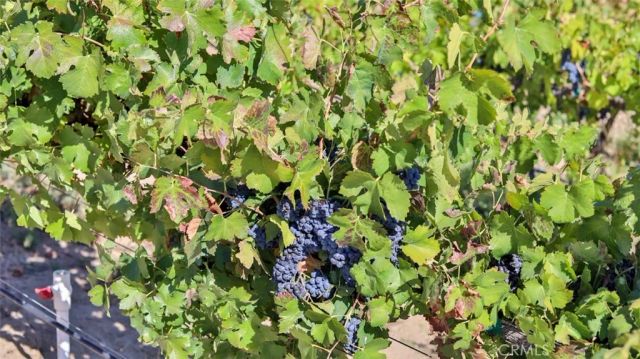 0 Valle Toscana Ct, Temecula, CA 92592