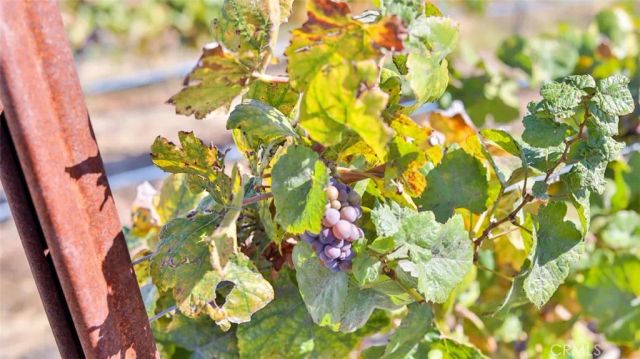 0 Valle Toscana Ct, Temecula, CA 92592