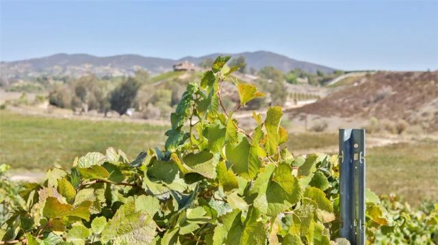 0 Valle Toscana Ct, Temecula, CA 92592
