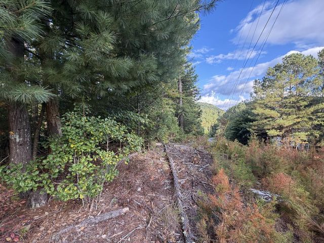 Lot 17 Belaire Drive, Copperhill, TN 37317