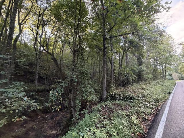 Lot 17 Belaire Drive, Copperhill, TN 37317