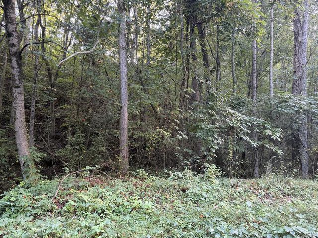 Lot 17 Belaire Drive, Copperhill, TN 37317