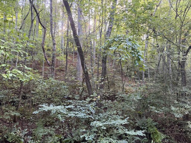 Lot 17 Belaire Drive, Copperhill, TN 37317