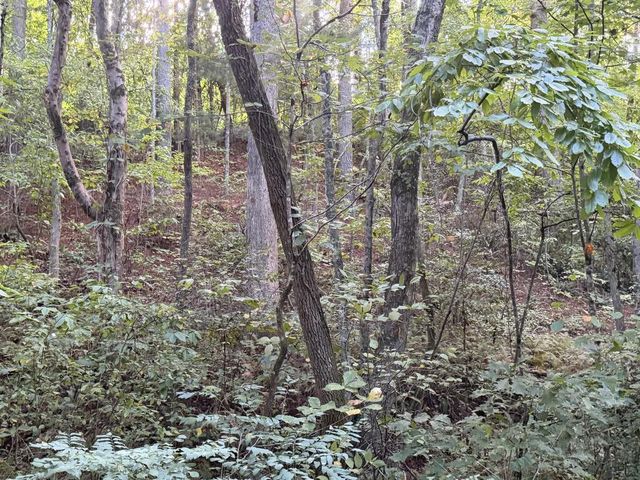 Lot 17 Belaire Drive, Copperhill, TN 37317