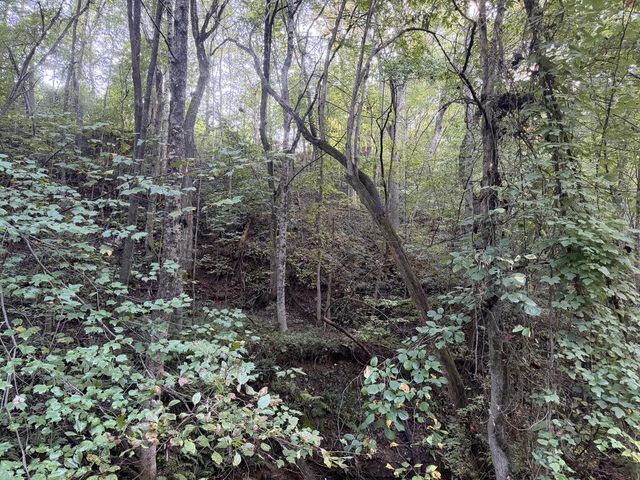 Lot 17 Belaire Drive, Copperhill, TN 37317