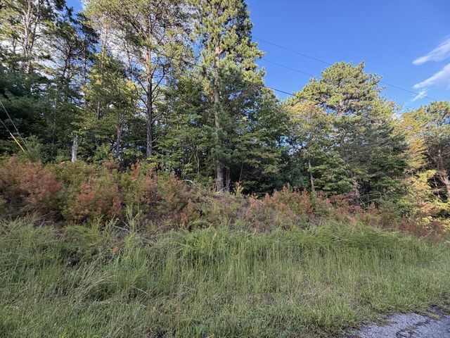 Lot 17 Belaire Drive, Copperhill, TN 37317
