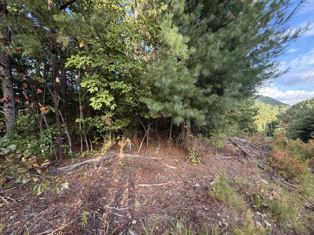 Lot 17 Belaire Drive, Copperhill, TN 37317