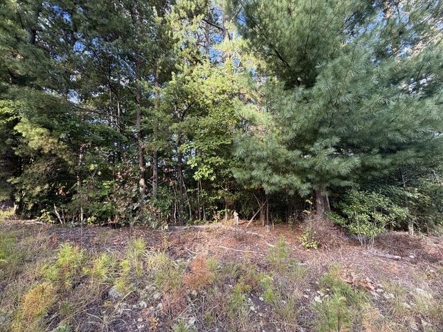 Lot 17 Belaire Drive, Copperhill, TN 37317