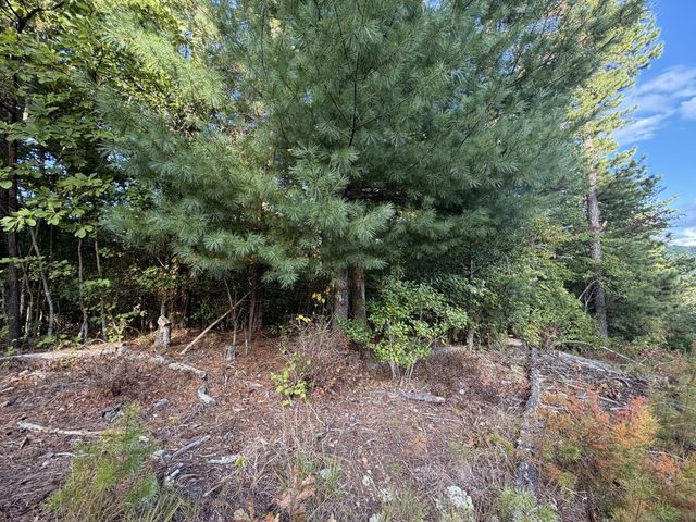 Lot 17 Belaire Drive, Copperhill, TN 37317