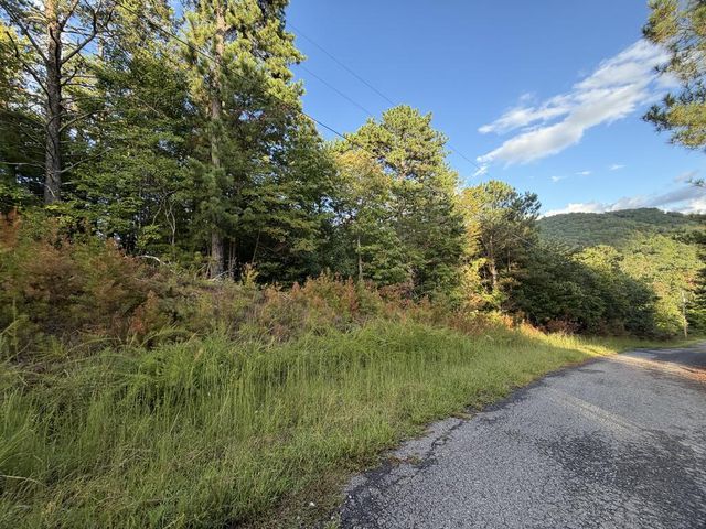 Lot 17 Belaire Drive, Copperhill, TN 37317