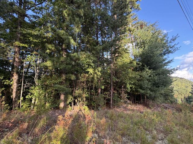 Lot 17 Belaire Drive, Copperhill, TN 37317