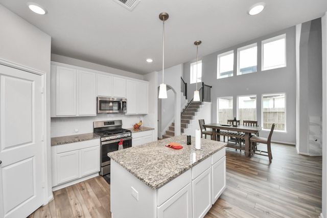 19014 Blossoming Buttercup Drive, Tomball, TX 77377