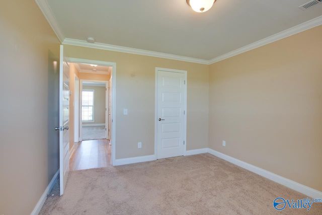 120 Lexi Lane, Meridianville, AL 35759