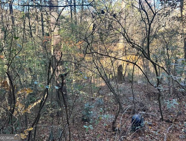 3825 Shane Court, Ellenwood, GA 30294