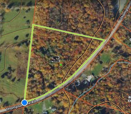 Thompson Road, Thompsonville, NY 12784