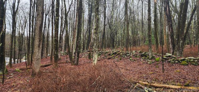 Thompson Road, Thompsonville, NY 12784