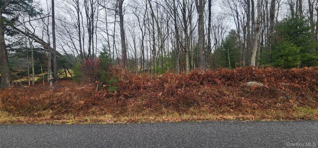 Thompson Road, Thompsonville, NY 12784