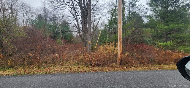 Thompson Road, Thompsonville, NY 12784