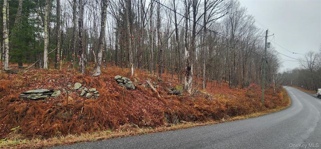 Thompson Road, Thompsonville, NY 12784