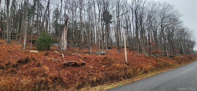Thompson Road, Thompsonville, NY 12784