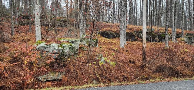 Thompson Road, Thompsonville, NY 12784