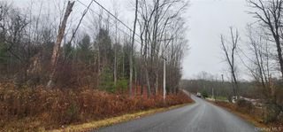 Thompson Road, Thompsonville, NY 12784