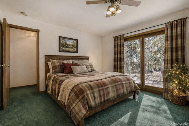 140 Wrangler Creek Circle, Florissant, CO 80816