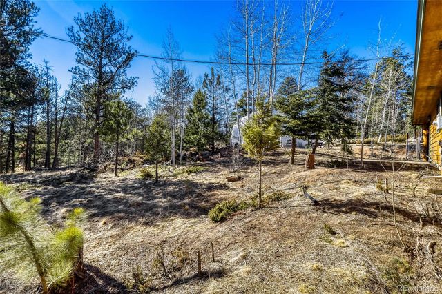 140 Wrangler Creek Circle, Florissant, CO 80816