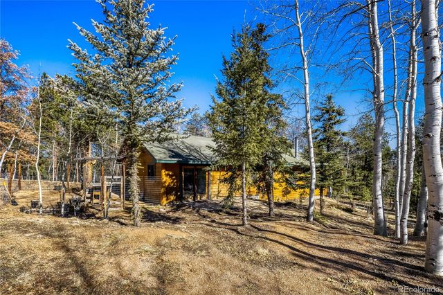 140 Wrangler Creek Circle, Florissant, CO 80816