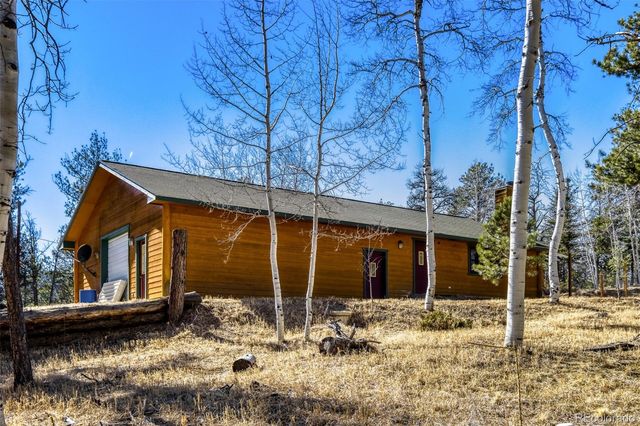 140 Wrangler Creek Circle, Florissant, CO 80816