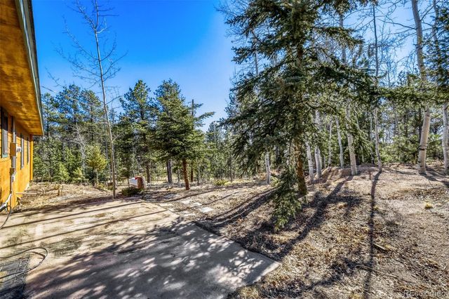 140 Wrangler Creek Circle, Florissant, CO 80816