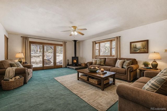 140 Wrangler Creek Circle, Florissant, CO 80816