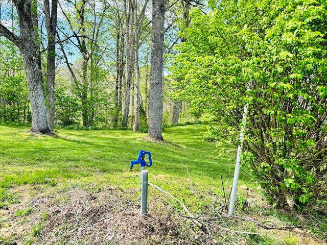 1265 Thornton Road, Russell Springs, KY 42642