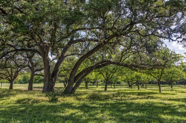 Tract 1 - 8145 Fm 390 E, Brenham, TX 77833