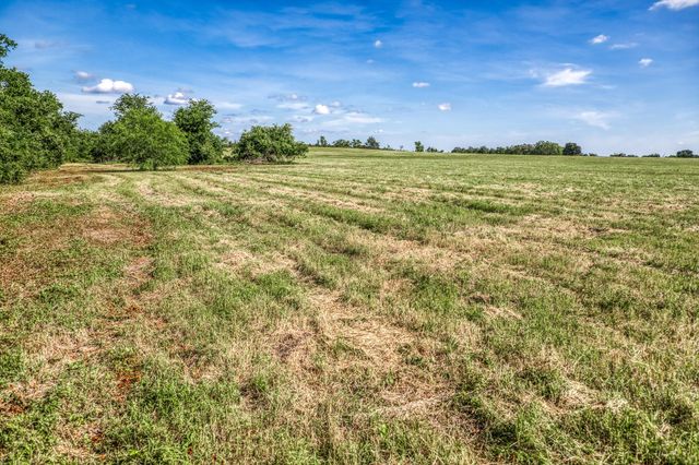 Tract 1 - 8145 Fm 390 E, Brenham, TX 77833