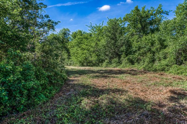 Tract 1 - 8145 Fm 390 E, Brenham, TX 77833