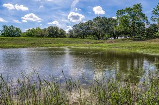 Tract 1 - 8145 Fm 390 E, Brenham, TX 77833