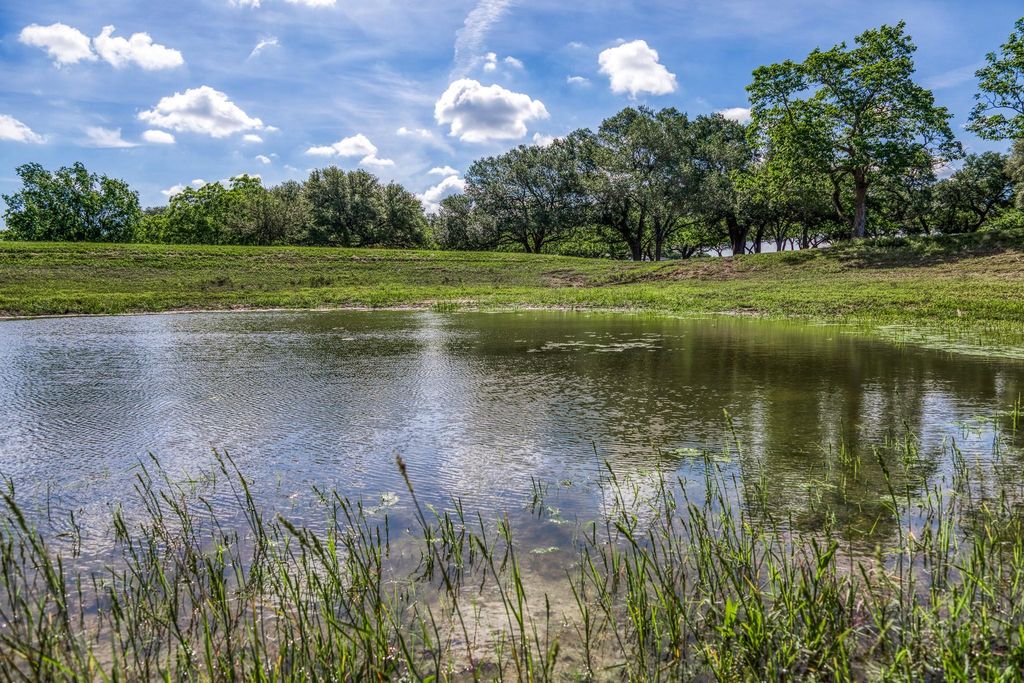 Tract 1 - 8145 Fm 390 E, Brenham, TX 77833