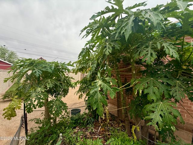 5110 E 26th Street, Tucson, AZ 85711