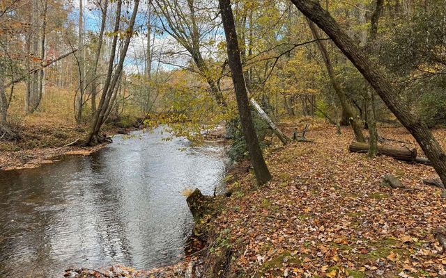 Lot 45 Gobbler Knob, Suches, GA 30572