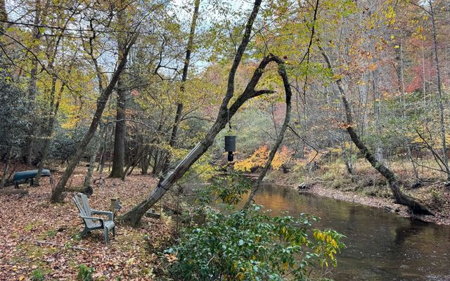 Lot 45 Gobbler Knob, Suches, GA 30572
