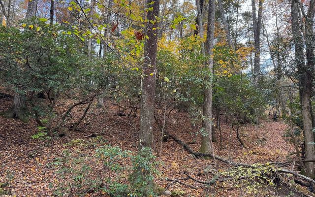 Lot 45 Gobbler Knob, Suches, GA 30572