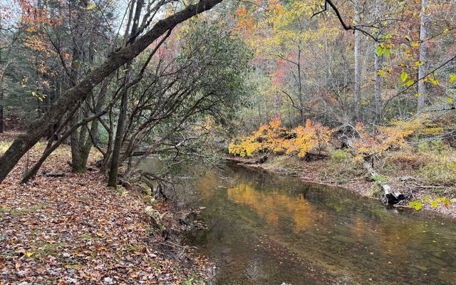 Lot 45 Gobbler Knob, Suches, GA 30572