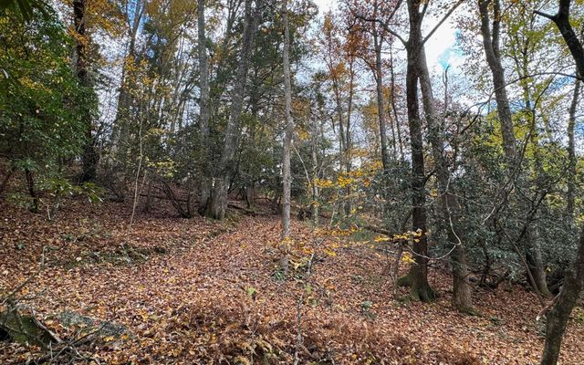 Lot 45 Gobbler Knob, Suches, GA 30572