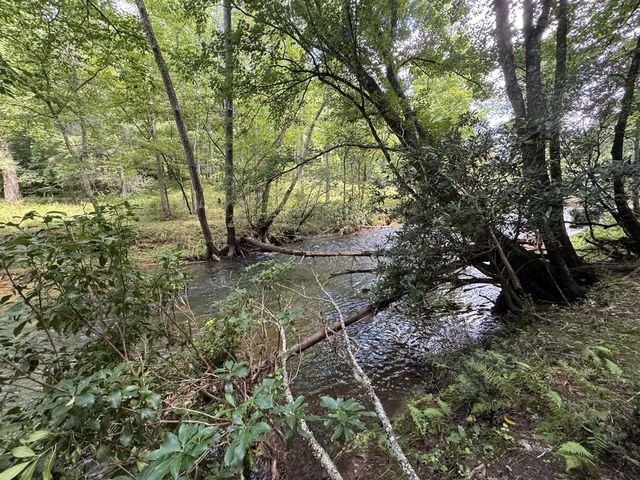 Lot 45 Gobbler Knob, Suches, GA 30572