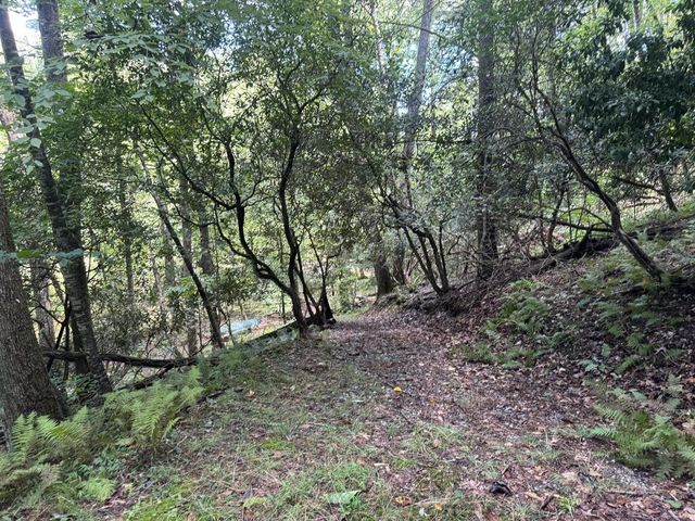 Lot 45 Gobbler Knob, Suches, GA 30572