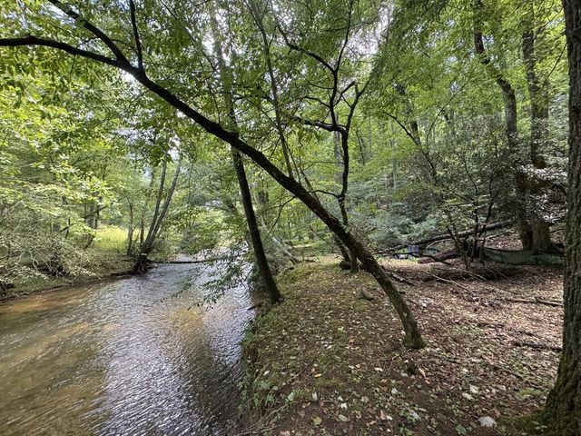 Lot 45 Gobbler Knob, Suches, GA 30572