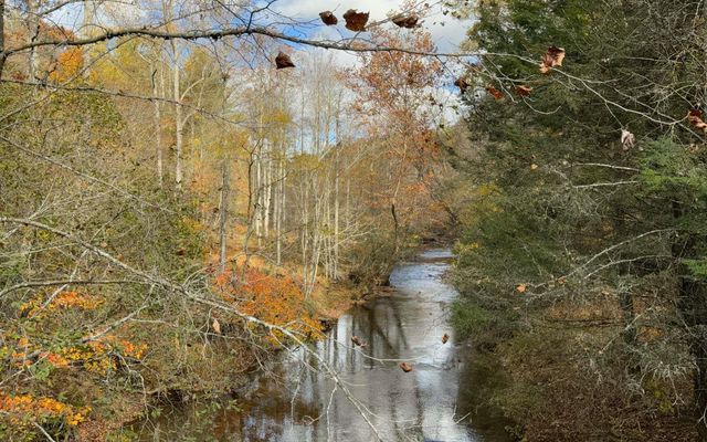 Lot 45 Gobbler Knob, Suches, GA 30572