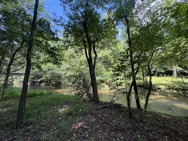 Lot 45 Gobbler Knob, Suches, GA 30572